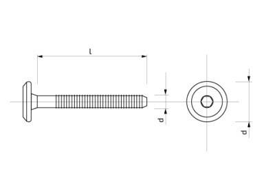 Šroub s plochou hlavou na imbus 17 mm 6x 40 mm Zn